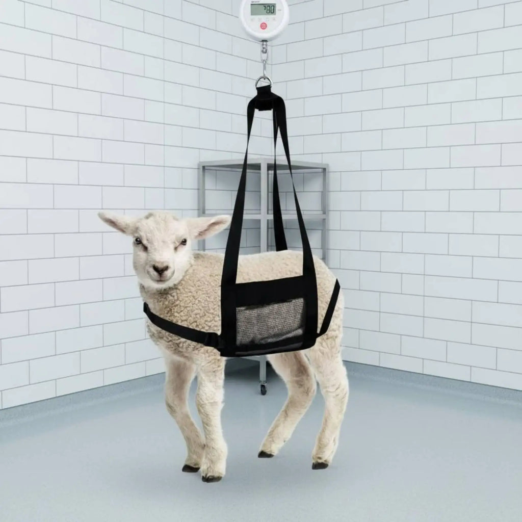 Livestock Weighing Sling Adjustable Fit Mesh Animal Harness for Baby Sheep Calf Piglet Farm Care - Automotive LED Light
